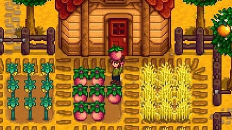 Stardew Valley farming with melon and wheat