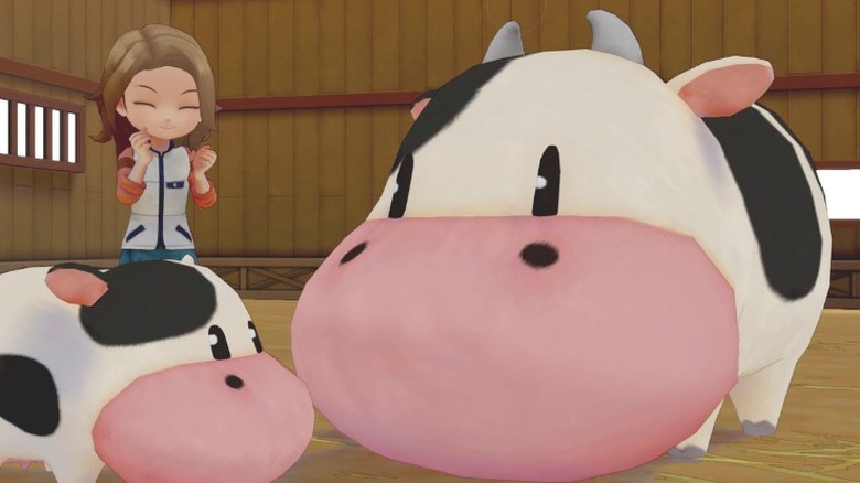 Protagonist smiles over cows