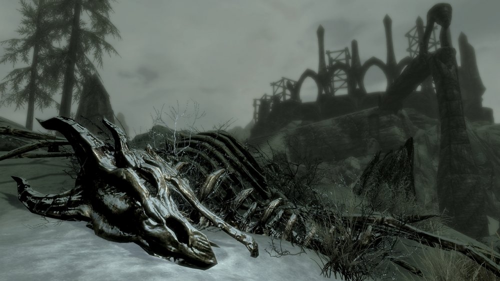 Skyrim