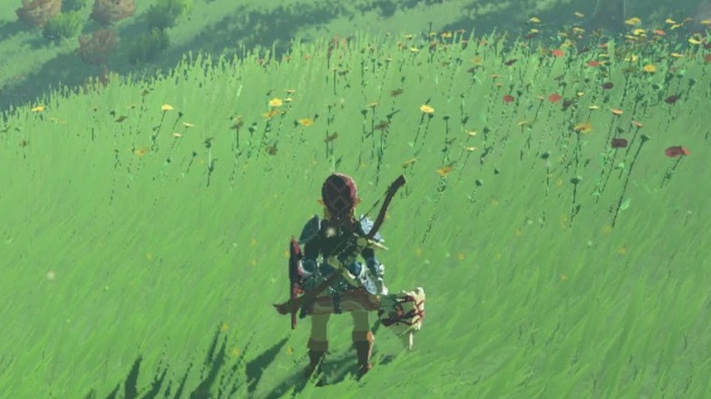 Link in grassy field