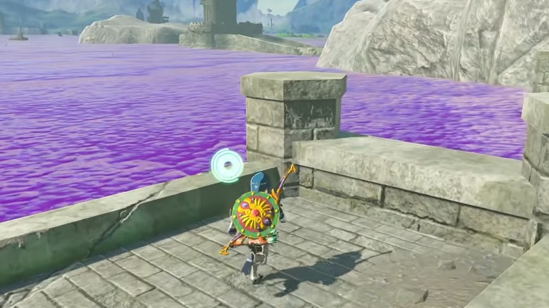 Breath of the Wild Purple Poison Water