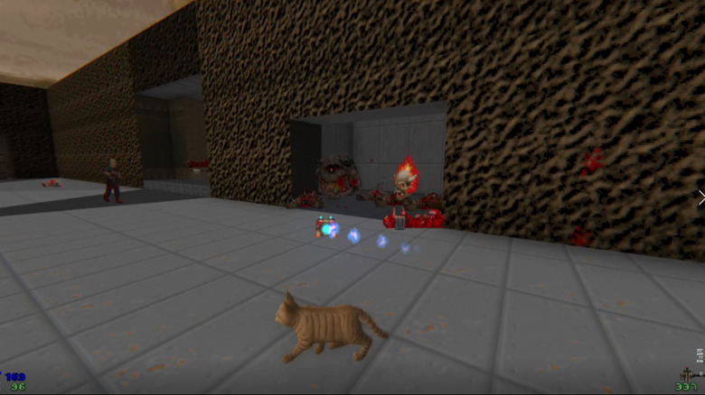 Stray cat vibing in Doom