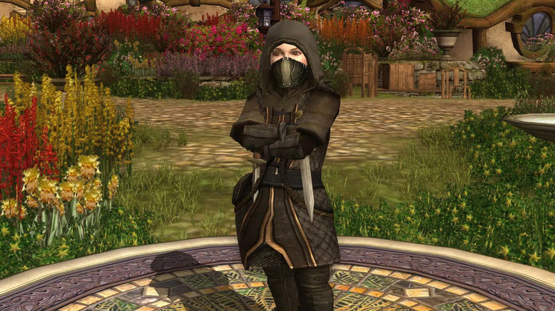 Lord of the Rings Online burglar