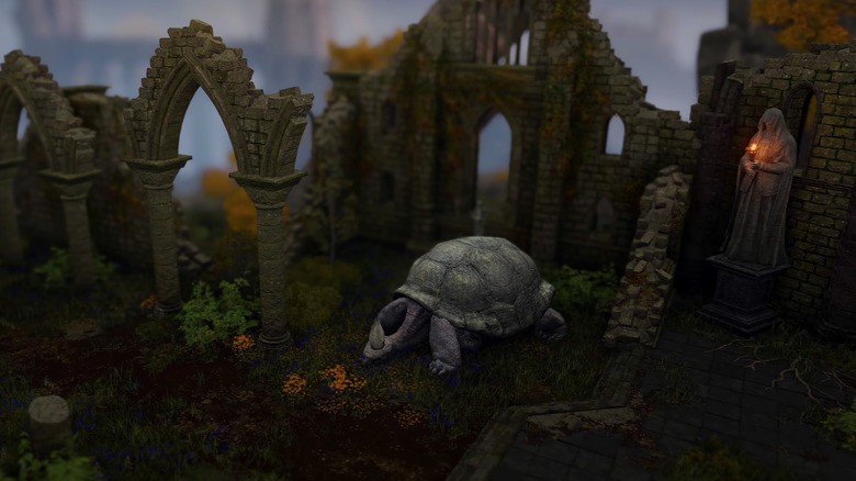 Tilt shifted cute Turtle Pope