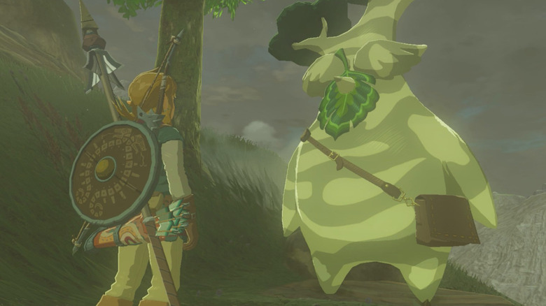 Link and Hestu meet