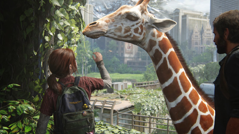 Ellie petting a giraffe