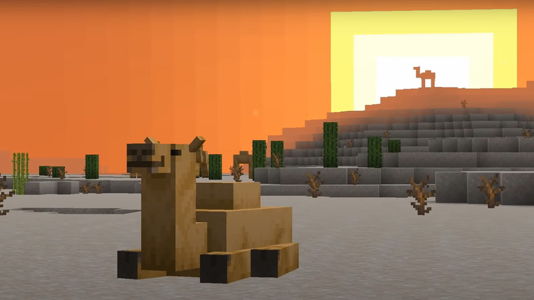 Camels in the desert in Minecraft