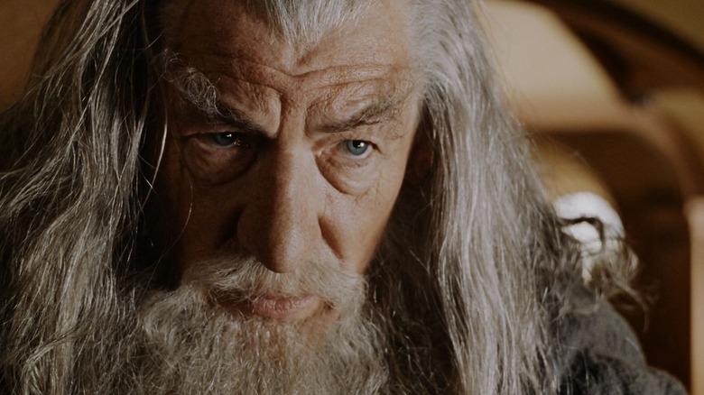 Gandalf from Lord of the Rings