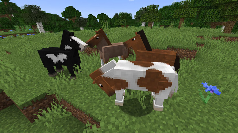 Minecraft horses