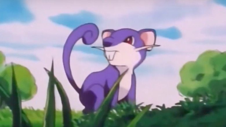 Rattata Pokemon Purple Mouse
