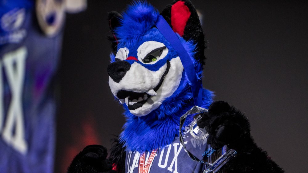 SonicFox