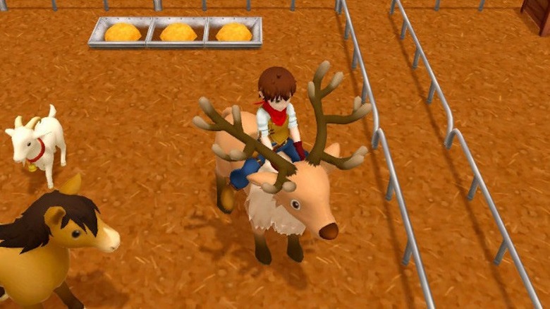 riding a reindeer on farm