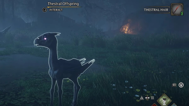 Thestral foal looking happy in swamp