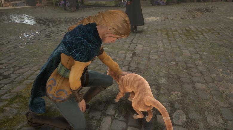 Petting red cat