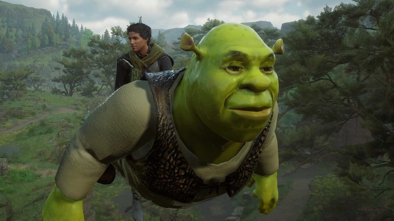 Wizard riding Shrek