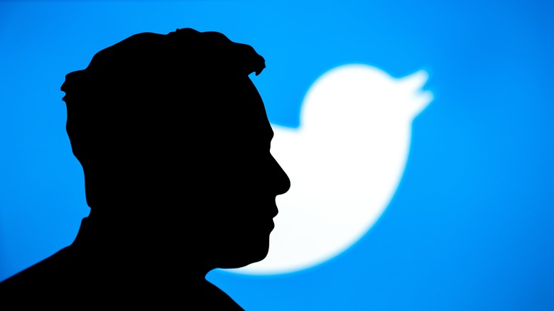 Elon Musk silhouette against Twitter logo
