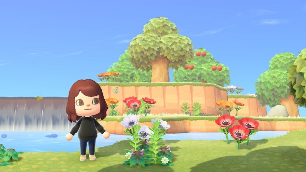 Screenshot from Animal Crossing: New Horizons