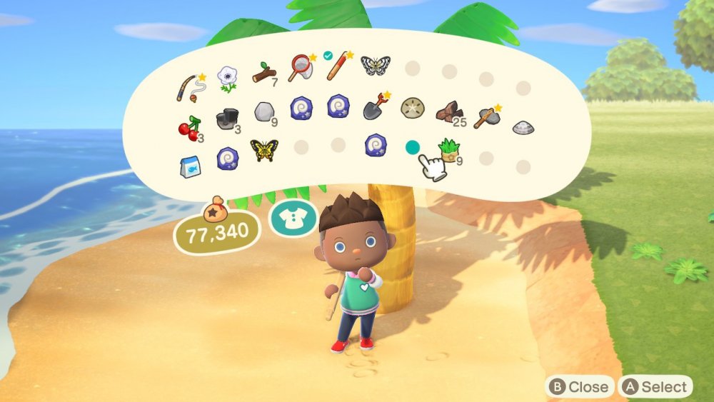 Screenshot from Animal Crossing: New Horizons