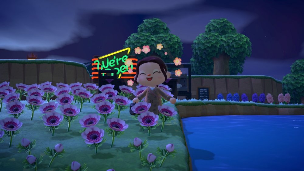 Screenshot from Animal Crossing: New Horizons
