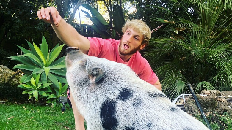 Logan Paul and pet pig Pearl