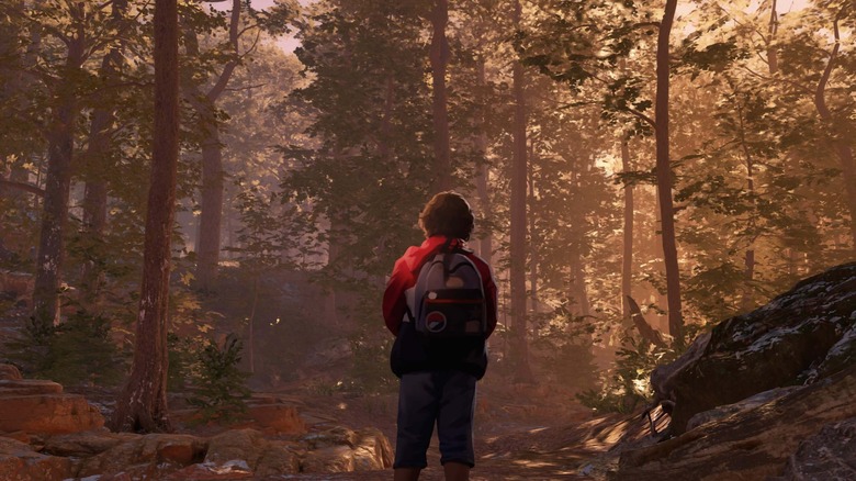 Boy in woods with backpack