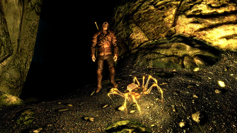 Skyrim, Spider Scroll, Albino Spider, Dragonborn