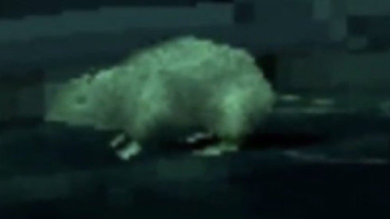 Metal Gear Solid Rat in Air Duct