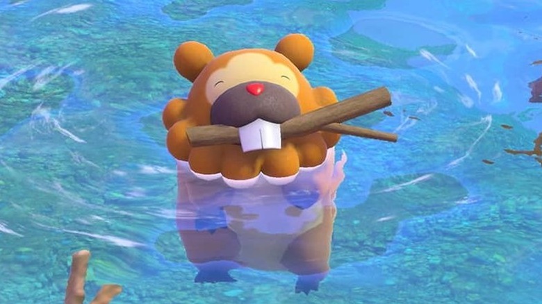 Bidoof swimming