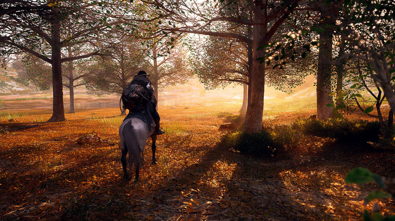 Man rides horse in forest