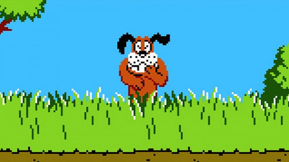 The Duck Hunt dog