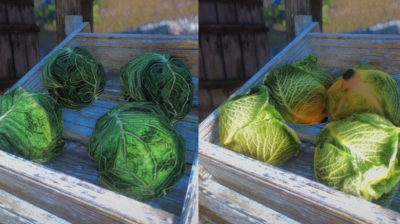 Basic cabbages vs mod cabbages