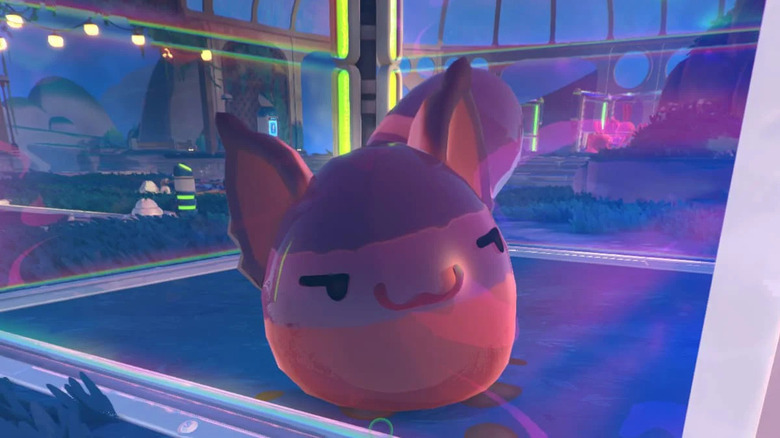 Slime Rancher 2 ringtail smile