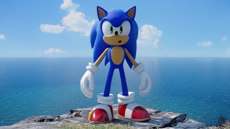Sonic standing on mountain