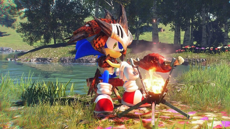 Sonic roasting meat in armor