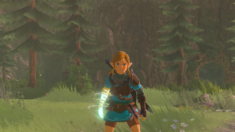 The Legend of Zelda Breath of the Wild