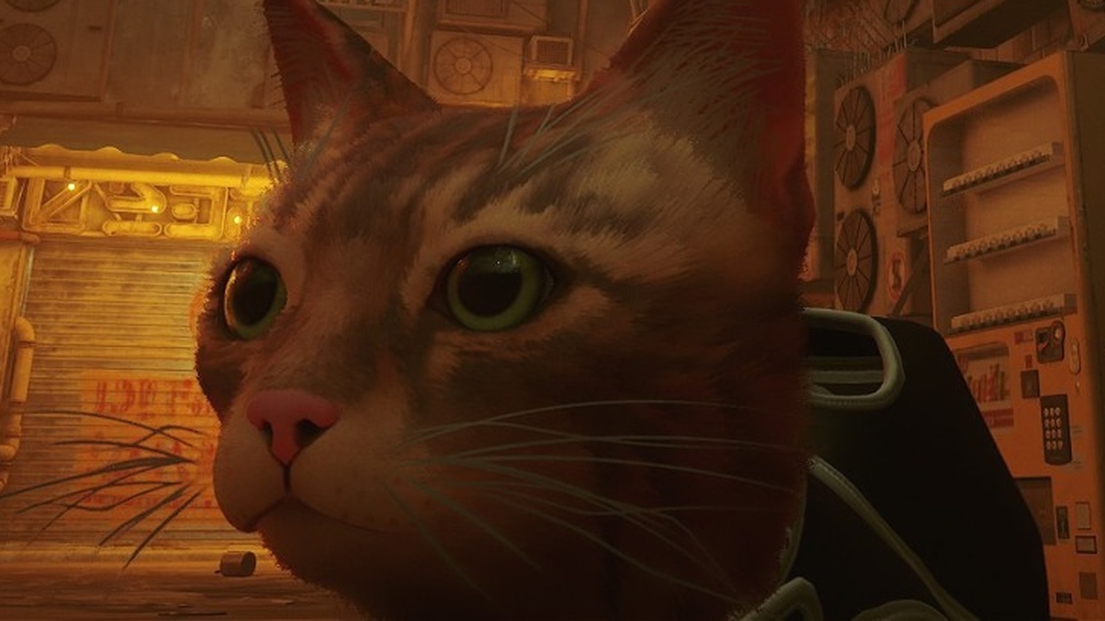 Stray' modders are adding their own cats into the game