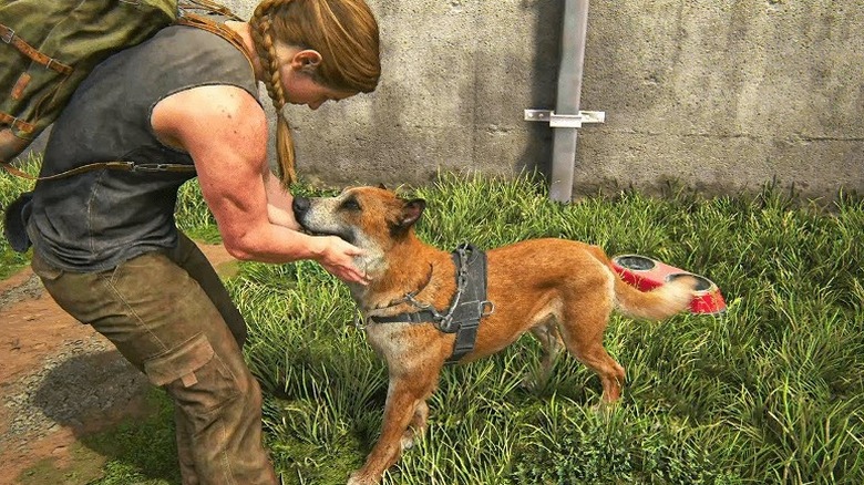 Abby petting a dog 
