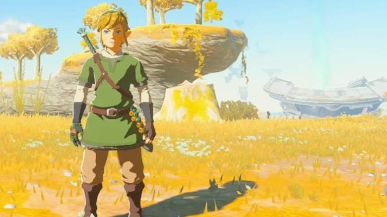 Link standing in field