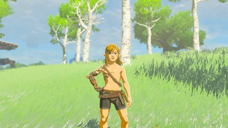 Naked Link posing in Tears of the Kingdom