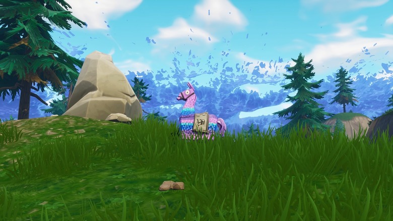 Llama pinata in the grass