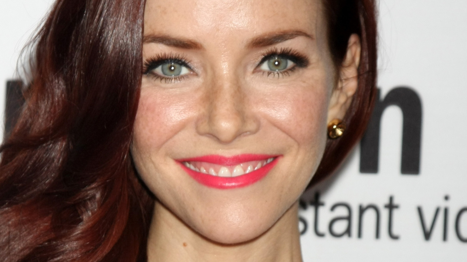 The Heartbreaking Death Of The Last Of Us Actor Annie Wersching