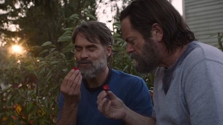 Bill and Frank eating strawberries