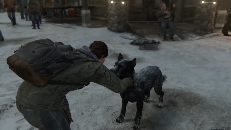 Ellie petting dog