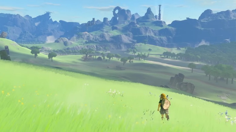 Link running through field