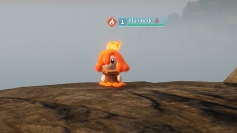Flambelle lookinig scared