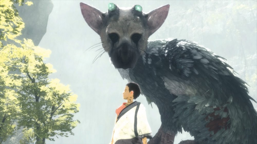 Trico