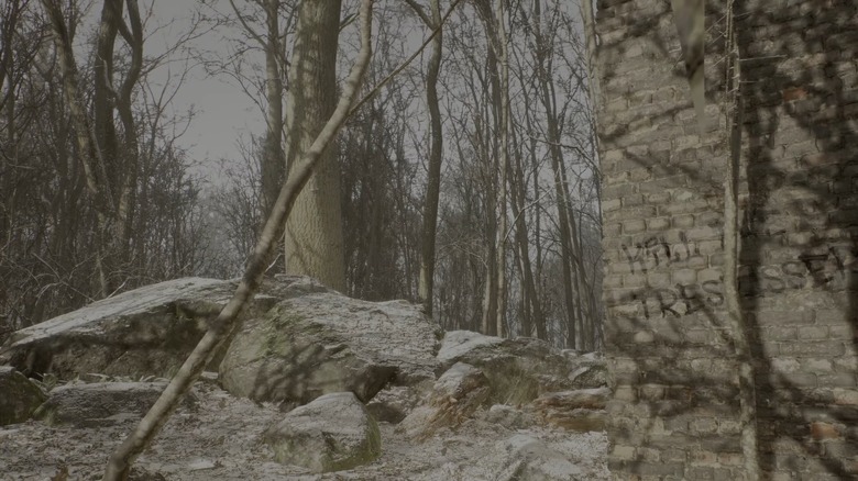 Abandoned Silent Trees in the Hills