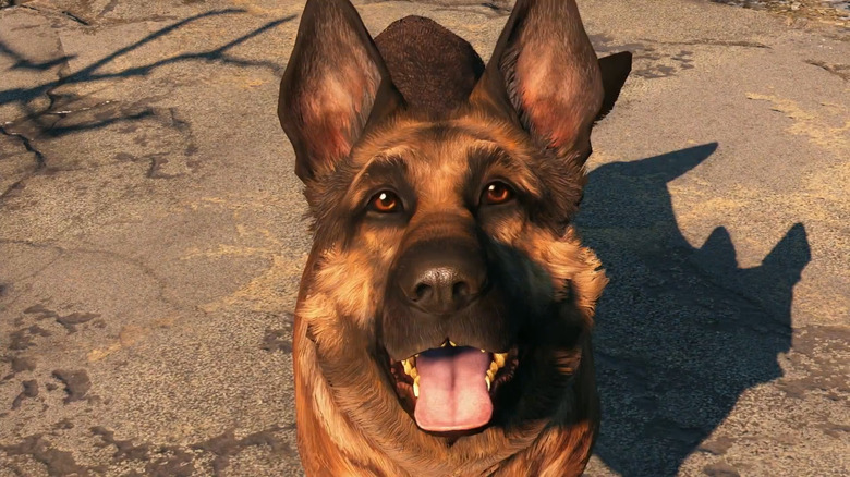 Dogmeat looking up at player