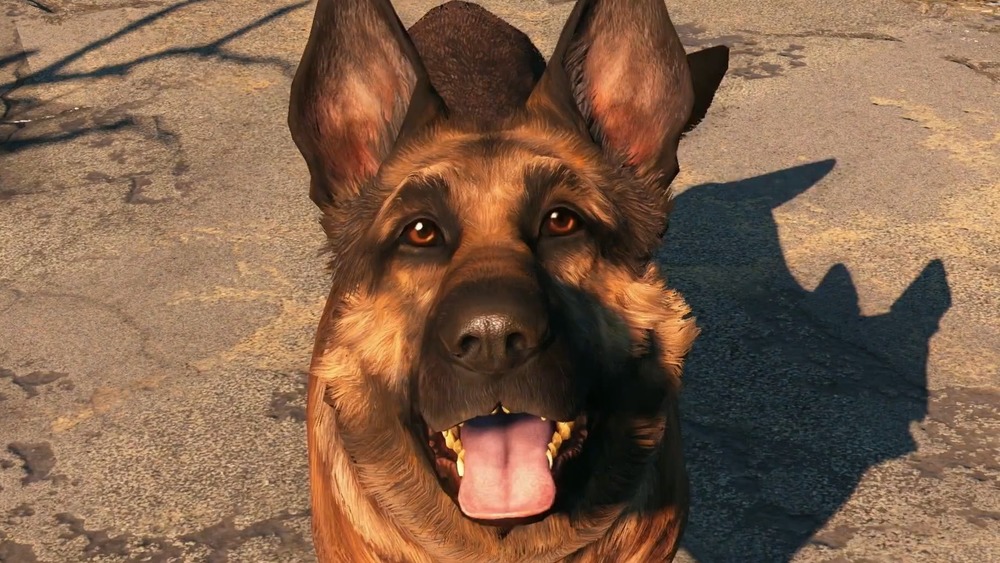 Dogmeat with goggles in Fallout 4.