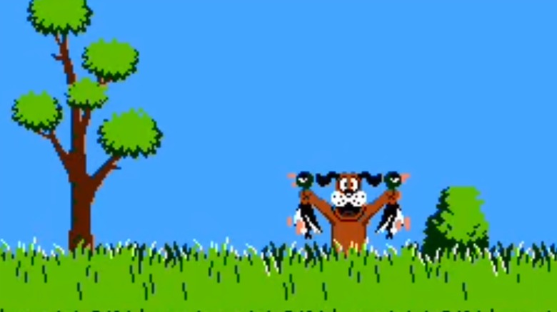 duck hunt